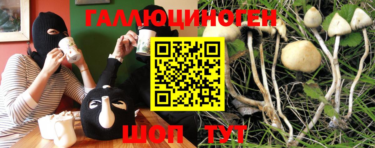 Псилоцибиновые грибы Cubensis Татарск